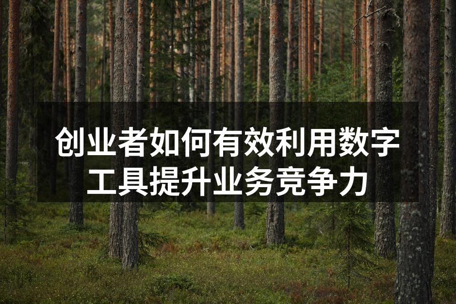 数字工具提升创业竞争力